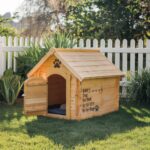 drewniana buda labrador